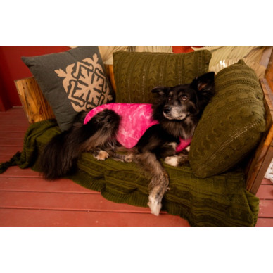 Îmbrăcăminte de Protecție „Dry Light Supreme Dog” Roz Mărimea 2 (2,5 – 3,5 kg) UV 50 plus, Antimicrobiană, Dry